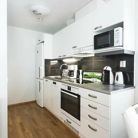 Apartment Tuomas' Luxurious Suites, Kitka. *